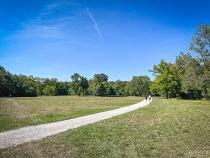 Englischer Garten Nordteil langer Spazierweg