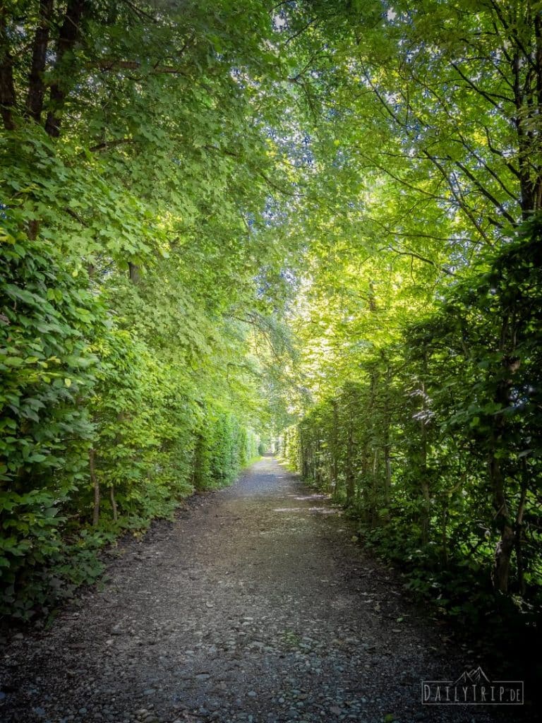 Schlosspark Nymphenburg Muenchen Parkweg